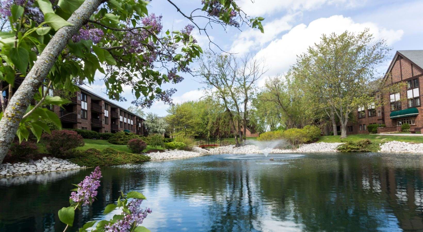 a body of water with trees and houses around it