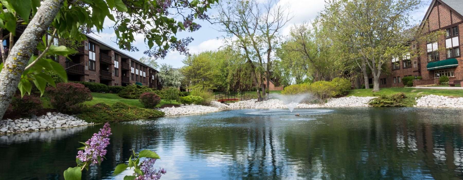 a body of water with trees and houses around it