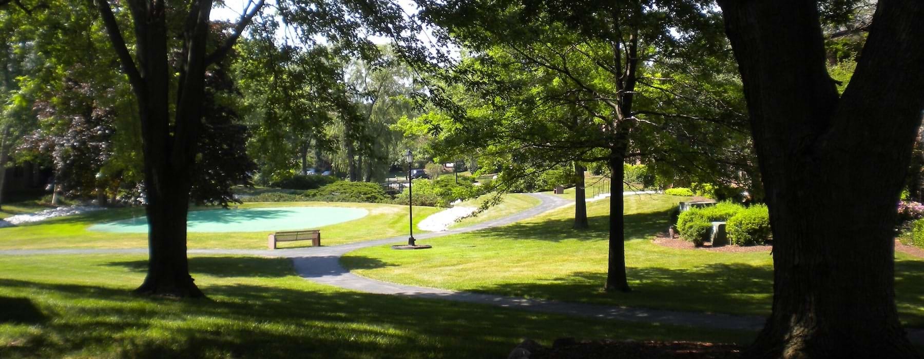 a park with trees and grass